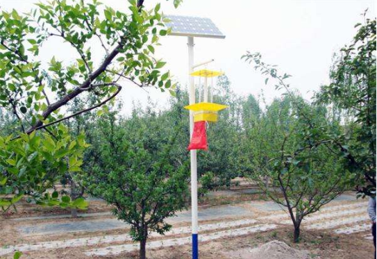 太陽能殺蟲燈多少錢